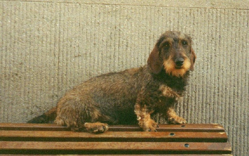 Ines du Chevalier Michel