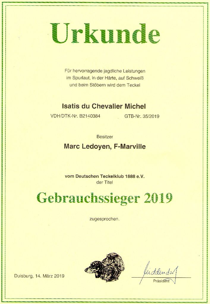 du Chevalier Michel - Isatis Championne Allemande de chasse pratique