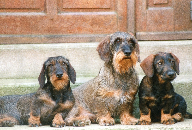 en famille